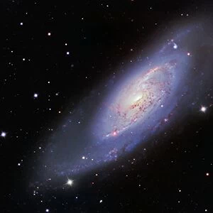 M106 Spiral Galaxy