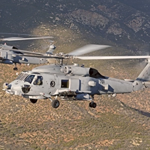 Two MH-60 helicopters of the U. S. Navy Blue Hawks squadron