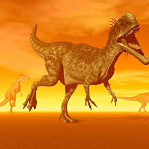 Three Monolophosaurus dinosaurs in the desert by sunset