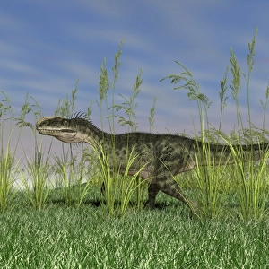 Monolophosaurus walking through tall grass