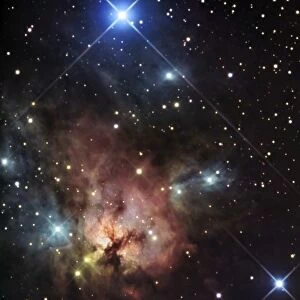 The Northern Trifid Nebula