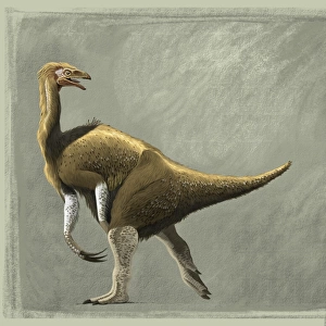 Nothronychus mckinleyi dinosaur of the Cretaceous Period