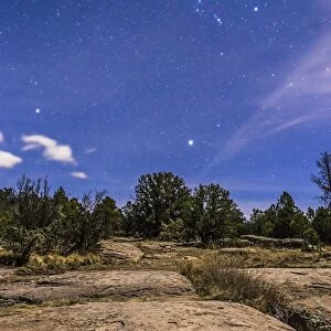 Orion and Sirius rising in the moonlight over Gila National Forest, New Mexico