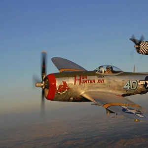 P-47 Thunderbolts flying over Chino, California