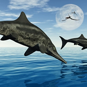 A pair of Stenopterygius ichthyosaurs jumping out of the water