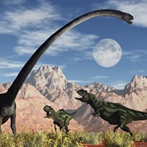 A pair of Yangchuanosaurus dinosaurs confront an Omeisaurus
