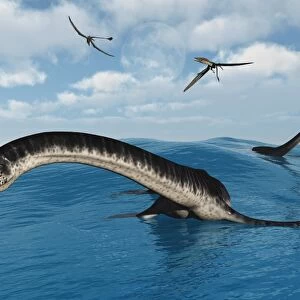 Plesiosaurs in their marine habitat