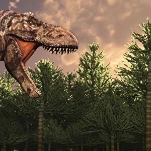 Profile view of a carnivorous Tyrannosaurus Rex