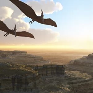 Two Pterodactyl flying dinosaurs soar above a beautiful canyon