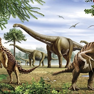 Scelidosaurus, Nothronychus and Argentinosaurus dinosarus grazing on leaves