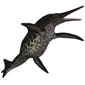 Shonisaurus, a prehistoric ichthyosaur from the Triassic period