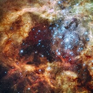 A stellar nursery known as R136 in the 30 Doradus Nebula