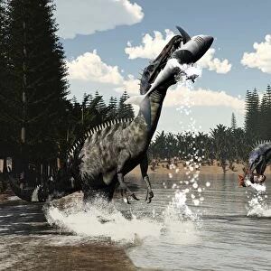 Two Suchomimus dinosaurs catch a fish and shark