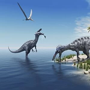 Suchomimus dinosaurs feed on fish on the shoreline