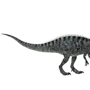 Suchomimus, a large dinosaur from the Cretaceous Period