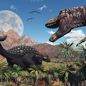 A T. Rex confronts an Ankylosaurus dinosaur