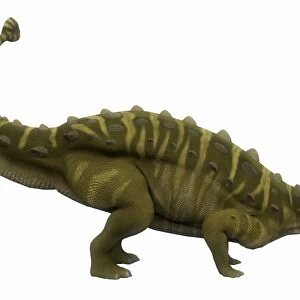 Talarurus dinosaur, side profile