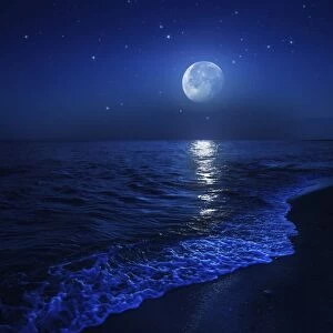 Tranquil ocean at night against starry sky and moon