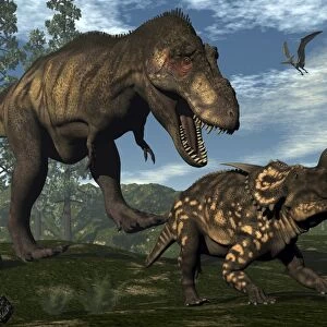 Tyrannosaurus rex attacking an Einiosaurus dinosaur