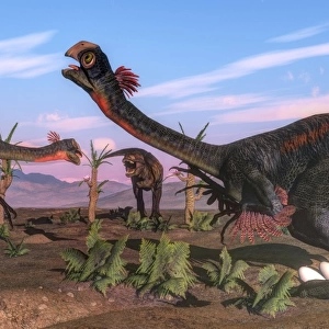 Tyrannosaurus rex attacking Gigantoraptors and their eggs