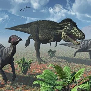 Tyrannosaurus Rex attacking a herd of Parasaurolophus duckbill dinosaurs