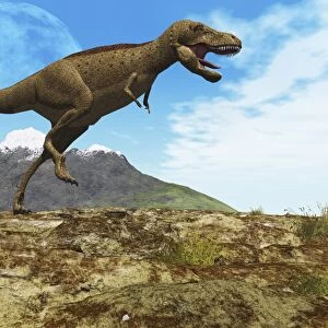 A Tyrannosaurus Rex dinosaur walks through his territory