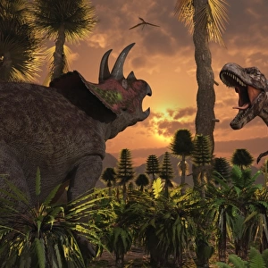 Tyrannosaurus Rex and Triceratops meet for a battle to the death