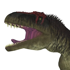 Tyrannotitan dinosaur head