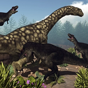 Three Tyrannotitans attacking an Argentinosaurus dinosaur