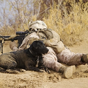 U. S. Marine and a military working dog provide security in Afghanistan