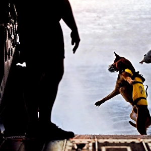 A U. S. Soldier and his military working dog jump off the ramp of a CH-47 Chinook