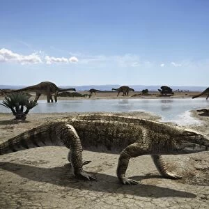 Uberabasuchus terrificus in an arid climate