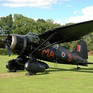Westland Lysander warbird in World War II Royal Air Force colors