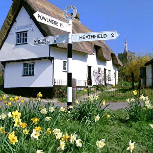 Daffodils, road sign and cottage, Thriplow, Cambridgeshire