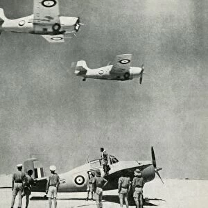 Desert Squadron - planes of the Fleet Air Arm during the Second World War, c1943