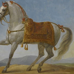 Marengo, the horse of Napoleon I of France