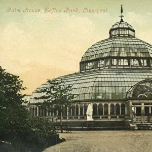 Palm House, Sefton Park, Liverpool, 1946. Creator: Unknown