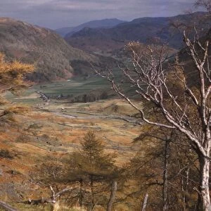 Upper Borrowdale valley in October, Lake District, Cumbria, 20th century. Artist: CM Dixon
