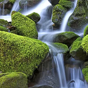 Close-up of moss-covered rocks with a cascading waterfall, Hawaii, USA