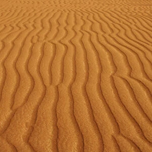 Patterns In The Desert Sand; Sultanate Of Oman