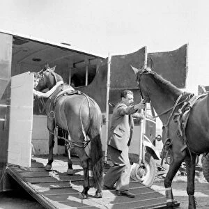 Horses are loaded onto a horsebox after competing in the Trotting race at the Birmingham