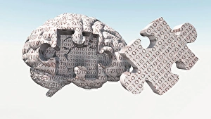 Binary Brain Puzzle