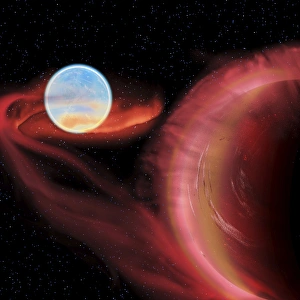 A binary star system