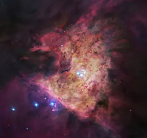 The center of the Orion Nebula, known as the Trapezium Cluster The center of the Orion Nebula, known as the Trapezium Cluster