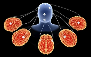 Conceptual image of multi-brain processing