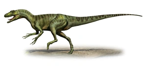 deltadromeus agilis prehistoric era dinosaur Trending Item 1