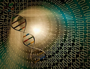 DNA chain inside tunnel of binary code