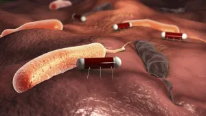 <b class=qtipBold><figcaption>Nanobots attacking cholera virus</figcaption></b><br>Nanobots attacking cholera virus,<br><em>© Stocktrek Images</em> Nanobots attacking cholera virus