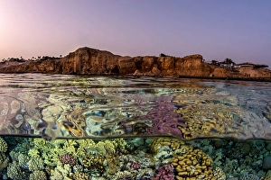 An over under split in the Red Sea