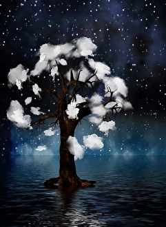 Tree surrounded by clouds